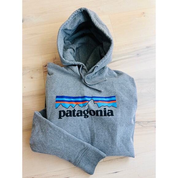 Mens Patagonia Hoodie Sweatshirt size large Grey Logo Graphic Outdoor gear - Picture 1 of 6